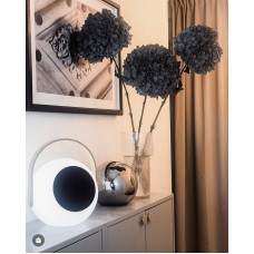 Table Lamp with speaker 