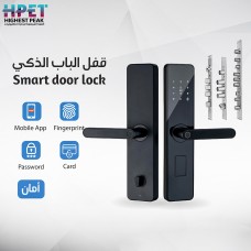 Smart door lock 