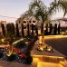 Landscaping and decoration