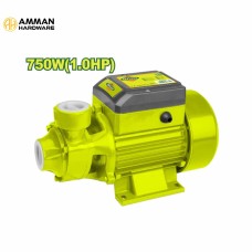 DYLLU Peripheral Water Pump 