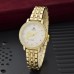 GEMSTAR Branded Watches Collection