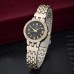 GEMSTAR Branded Watches Collection