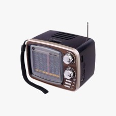 Rechargeable radio