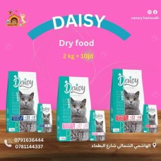 ﻿Dry cat ​​food