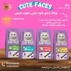 ﻿Dry cat ​​food