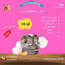 Cat Grooming Service