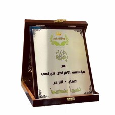 Wooden shield