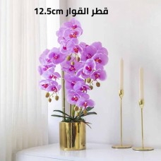 Orchid flower