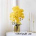 Orchid flower