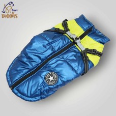 Winter Jacket 