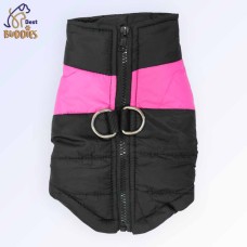 Winter Jacket 
