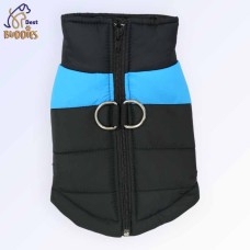 Winter Jacket 