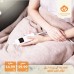 Electric sheet