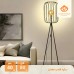 Side Lamp 