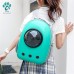 Cat Bag