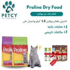 ﻿Cat Food 