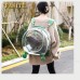 Cat Bag