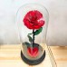 The legendary rose