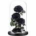 The legendary rose
