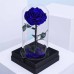 The legendary rose