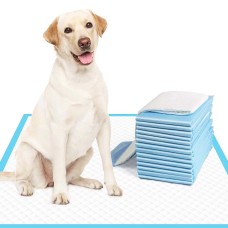Training Pads & Diapers
