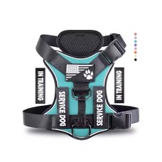 Leashes, Collars & Harnesses