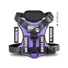 Leashes, Collars & Harnesses