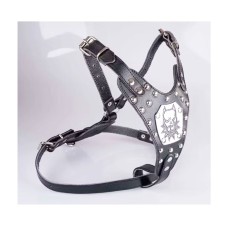 Leashes, Collars & Harnesses