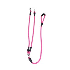 Leashes, Collars & Harnesses