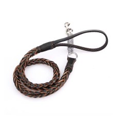 Leashes, Collars & Harnesses