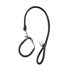 Leashes, Collars & Harnesses