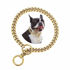 Leashes, Collars & Harnesses