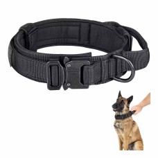 Leashes, Collars & Harnesses
