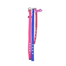 Leashes, Collars & Harnesses