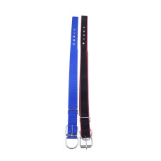 Leashes, Collars & Harnesses