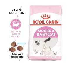 Dry Cat Food