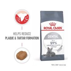 Dry Cat Food