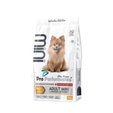 Dry Dog Food