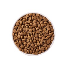 Dry Dog Food