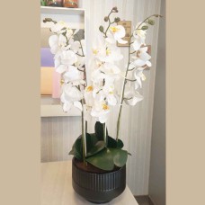 Luxury White Orchid Bouquet
