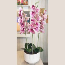 Luxury Pink Orchid Bouquet