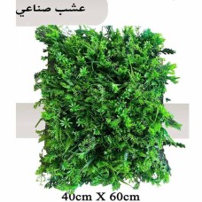Wall Grass
