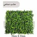 Wall Grass