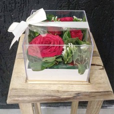 Acrylic box 