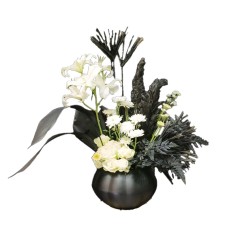 Crazy black plant