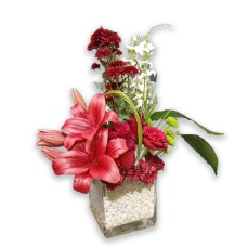 Glasses plant
