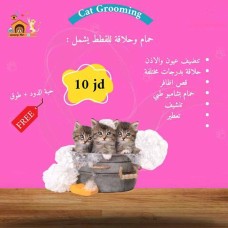 Cat Grooming Service