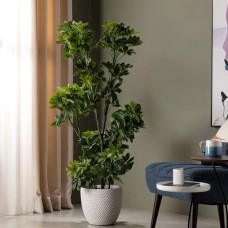 Artificial Schefflera Plant Artificial Schefflera Plant