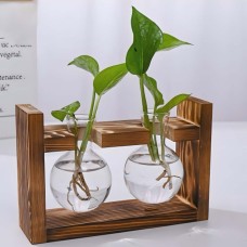 Glass planter with a wooden base
