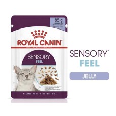 Royal Canin Ageing 12+ Thin Slices In Gravy 85g